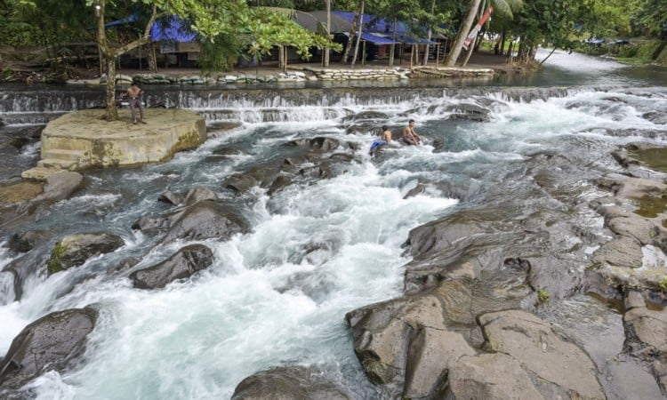 Desa Wisata Sesaot Di Lombok