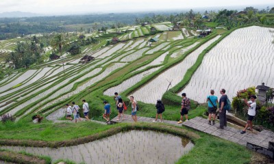 Desa Penggerak Pariwisata Bali