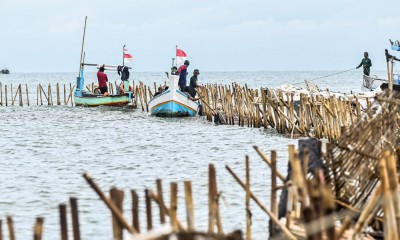 TNI AL Dan Nelayan Bongkar Pagar Laut Di Tangerang