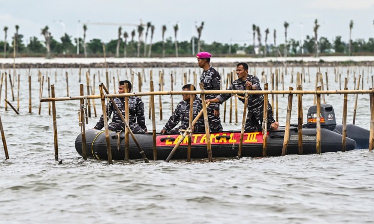 TNI AL Dan Nelayan Bongkar Pagar Laut Di Tangerang