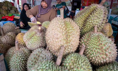 Kemenko Pangan Persiapkan Durian Sulteng Untuk ke Pasar Ekspor