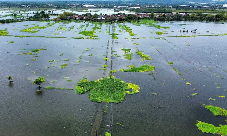 Ribuan Rumah Warga di Pasuruan Jawa Timur Terendam Banjir