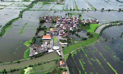 Ribuan Rumah Warga di Pasuruan Jawa Timur Terendam Banjir