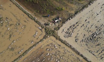 Perluasan Areal Tanam (PAT) Untuk Lahan Pertanian Penanaman Padi di Sulawesi Tenggara