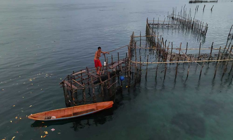 Begini Cara Menagkap Ikan Nelayan Suku Bajo Dengan Perangkap