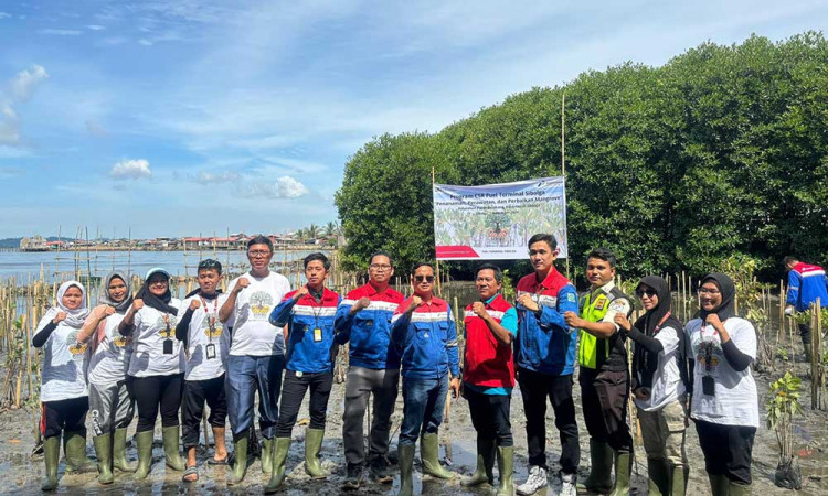 Program Hutan Petrofin, Kontribusi Elnusa Petrofin Dukung Net Zero Emission (Nze) 2060
