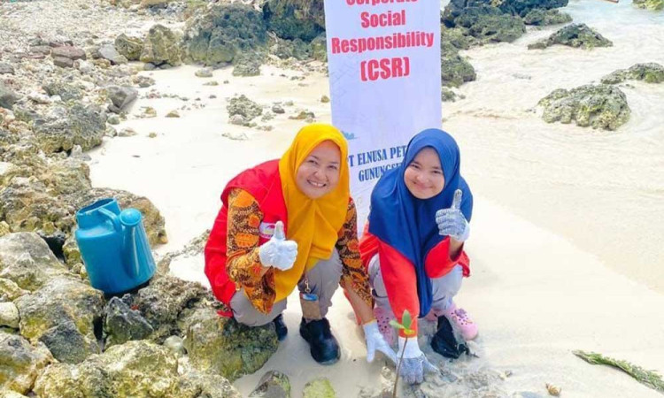 Program Hutan Petrofin, Kontribusi Elnusa Petrofin Dukung Net Zero Emission (Nze) 2060