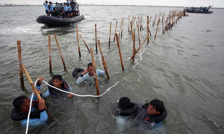 Pembongkaran Pagar Laut di Kawasan Pantai Tanjung Pasir