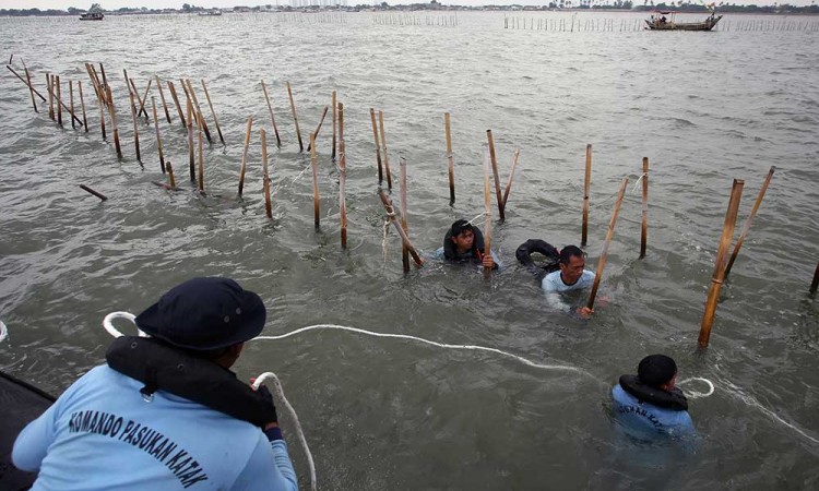 Pembongkaran Pagar Laut di Kawasan Pantai Tanjung Pasir