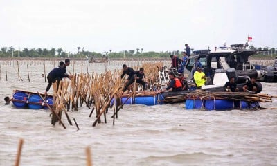 Pembongkaran Pagar Laut di Kawasan Pantai Tanjung Pasir