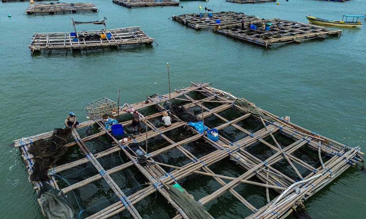 KKP Akan Meningkatkan Produksi Perikanan Jawa Timur