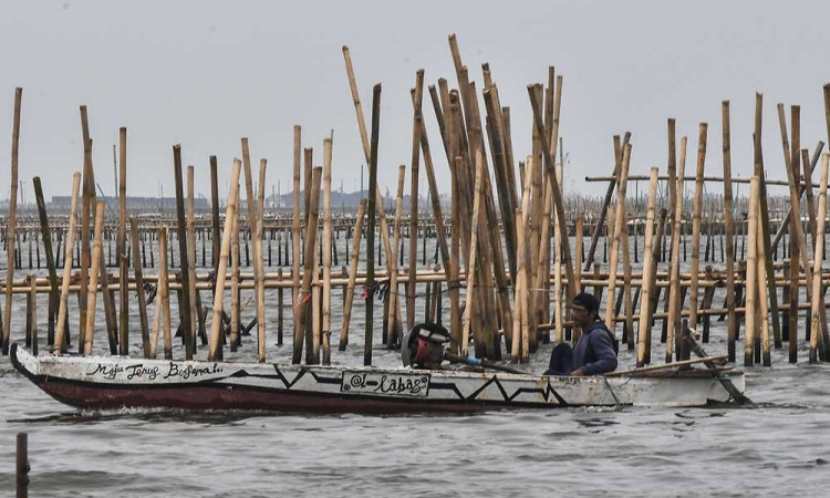 Nelayan di Pesisir Bekasi Gelar Aksi Menuntut Pembongkaran Pagar Laut