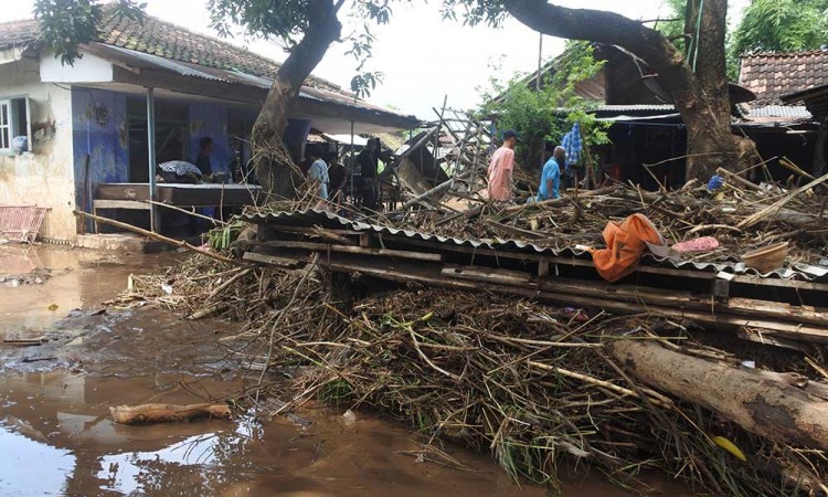 Ribuan Rumah di Situbondo Terendam Banjir