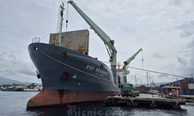 Rekor! Maumere Ekspor Perdana Kelapa Kupas Langsung ke Luar Negeri