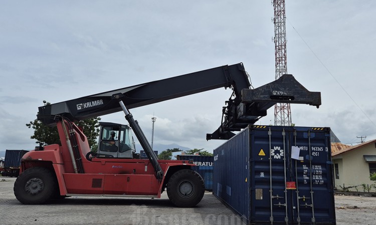 Rekor! Maumere Ekspor Perdana Kelapa Kupas Langsung ke Luar Negeri