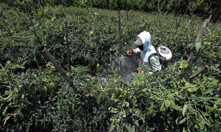 Pemprov Jawa Barat Dorong Peran Desa Mendukung Ketahanan Pangan