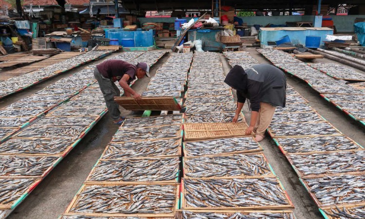 Pemanfaatan Ikan Cold Storage