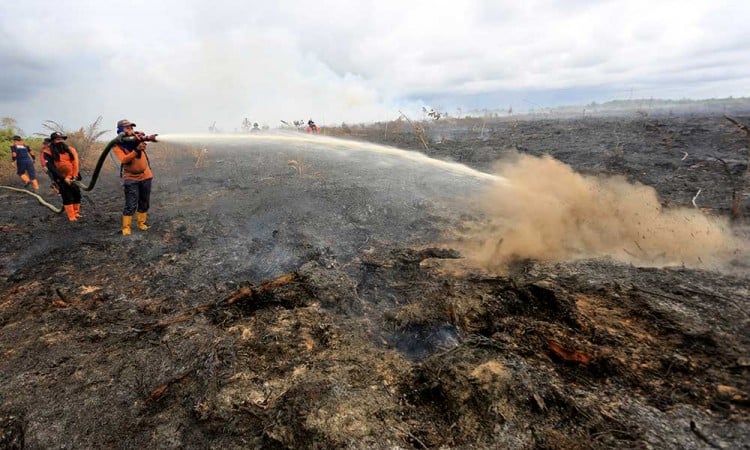 Kebakaran hutan dan lahan di Aceh Barat Semakin Meluas