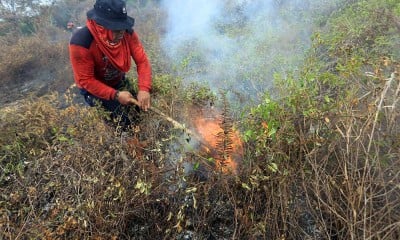 Kebakaran hutan dan lahan di Aceh Barat Semakin Meluas