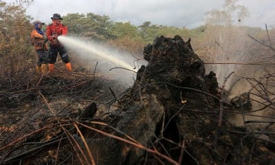 Kebakaran hutan dan lahan di Aceh Barat Semakin Meluas