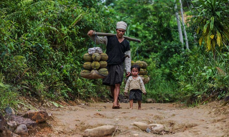 Wisatawan Dilarang Berkunjung ke Suku Badui Selama Ritual Adat Kawalu