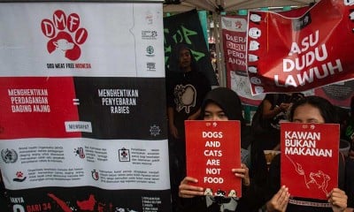 Aksi Damai Stop Perdagangan Anjing di Yogyakarta