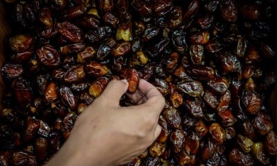 Volume Impor Kurma Indonesia Naik Menjelang Bulan Ramadan