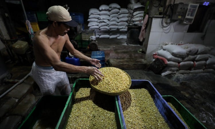 Akindo Pastikan Persediaan Kedelai Nasional Aman Jelang Ramadan