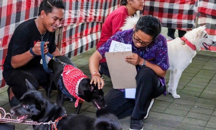 Weekend Dog Festival 2025 di Bali