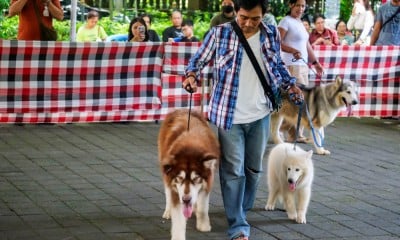 Weekend Dog Festival 2025 di Bali