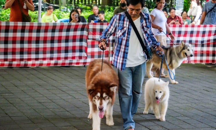 Weekend Dog Festival 2025 di Bali