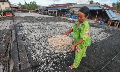 Hasil Tangkapan Nelayan di Jambi Anjlok Akibat Cuaca Buruk