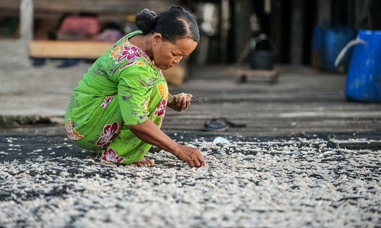 Hasil Tangkapan Nelayan di Jambi Anjlok Akibat Cuaca Buruk