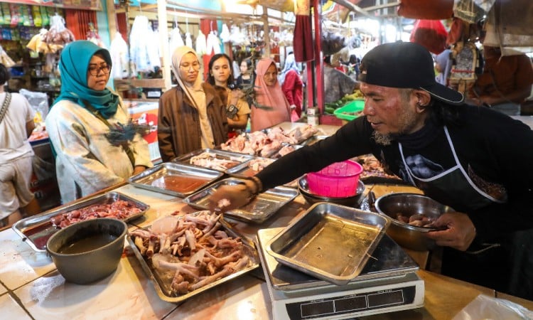 Memasuki Bulan Ramadan, Harga Daging Ayam Potong Alami Kenaikan Yang Siginifikan