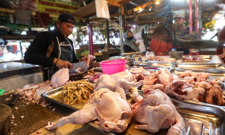 Memasuki Bulan Ramadan, Harga Daging Ayam Potong Alami Kenaikan Yang Siginifikan