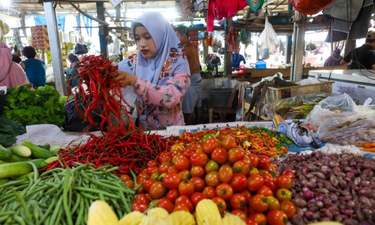 BPS Mencatat IHK Pada Februari Mengalami Deflasi 0,48%