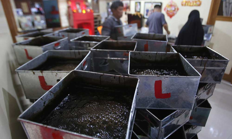 Produksi Cincau Pada Awal Ramadan Alami Peningkatan Hingga 500 Kotak