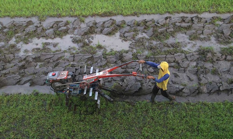 Pemprov Jawa Timur Pacu Target Tambahan Produksi Beras