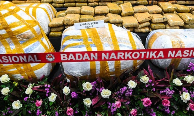 BNN Ungkap 14 Kasus Peredaran Narkotika Dengan Barang Bukti Senilai Rp1 Triliun