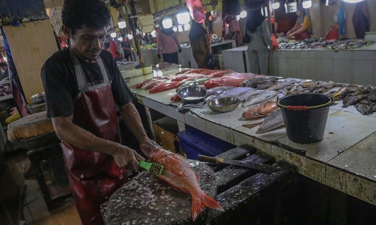 KKP memastikan stok ikan di berbagai wilayah Indonesia tercukupi selama Ramadan