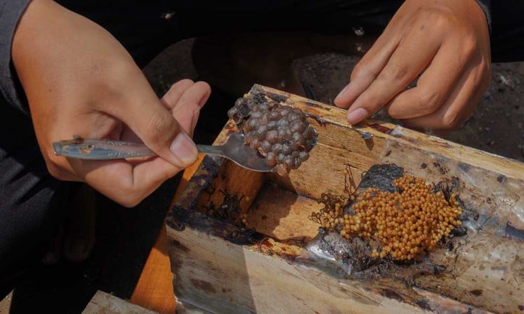 Permintaan Madu Alami Peningkatan Selama Bulan Ramadan