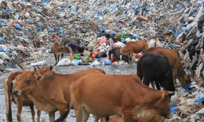 Peningkatan Volume Sampah Selama Ramadan