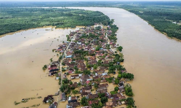 Sebanyak Tujuh Kabupaten/Kota di Jambi Terendam Banjir