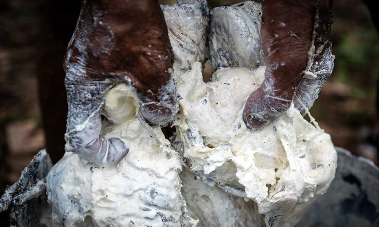 Produksi Karet Mengalami Defisit Karena Stagnasi Produksi di Negara-Negara Produsen