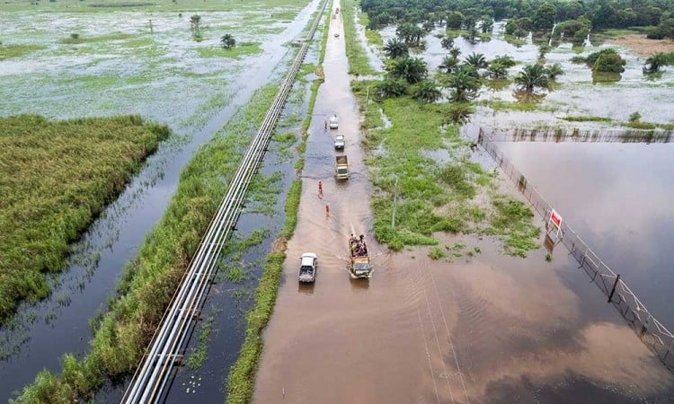 Banjir Luapan Sungai Pengabuan Rendam Sejumlah Wilayah di Jambi