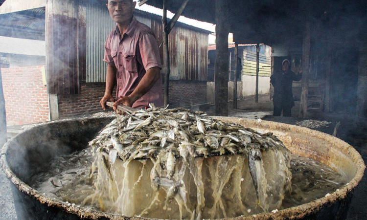 Produksi Ikan Kering di Aceh