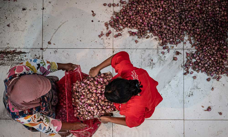 Harga Bawang Merah Lokal di Semarang Alami Penurunan