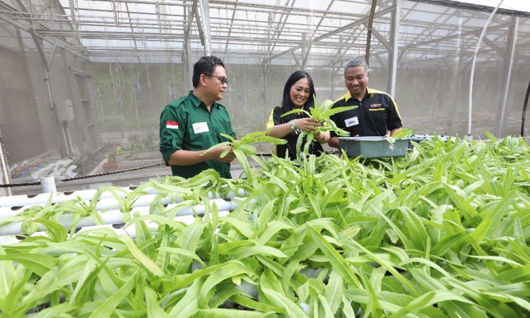 MR. DIY Run 2025 Donasikan Hasil Penjualan Tiket