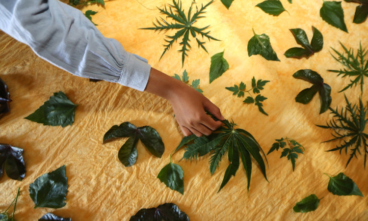 Produksi Kain Ecoprint UMKM