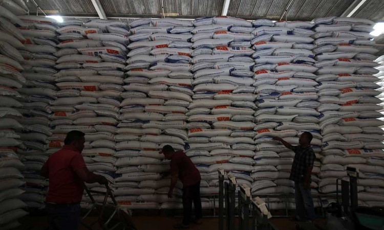 Perum Bulog Aceh Telah Menyerap 91.515 Ton Gabah Kering Panen Petani
